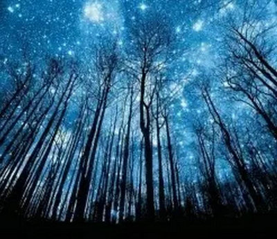 g5失落灵魂_4399失落的灵魂_地球2150 失落的灵魂