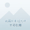 qq飞车抽奖视屏_qq飞车抽奖图片_qq飞车手游抽奖视频