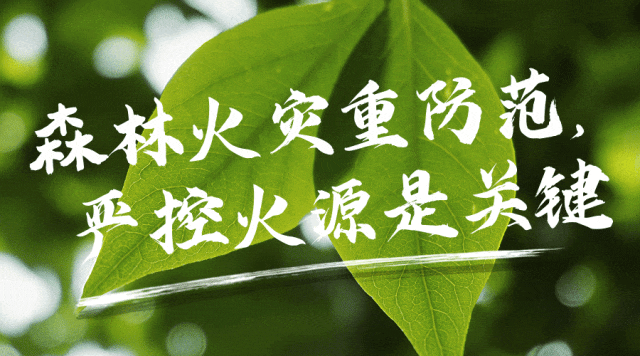 惩罚者无双_惩罚者无双版下载_惩罚者无双版一命通关