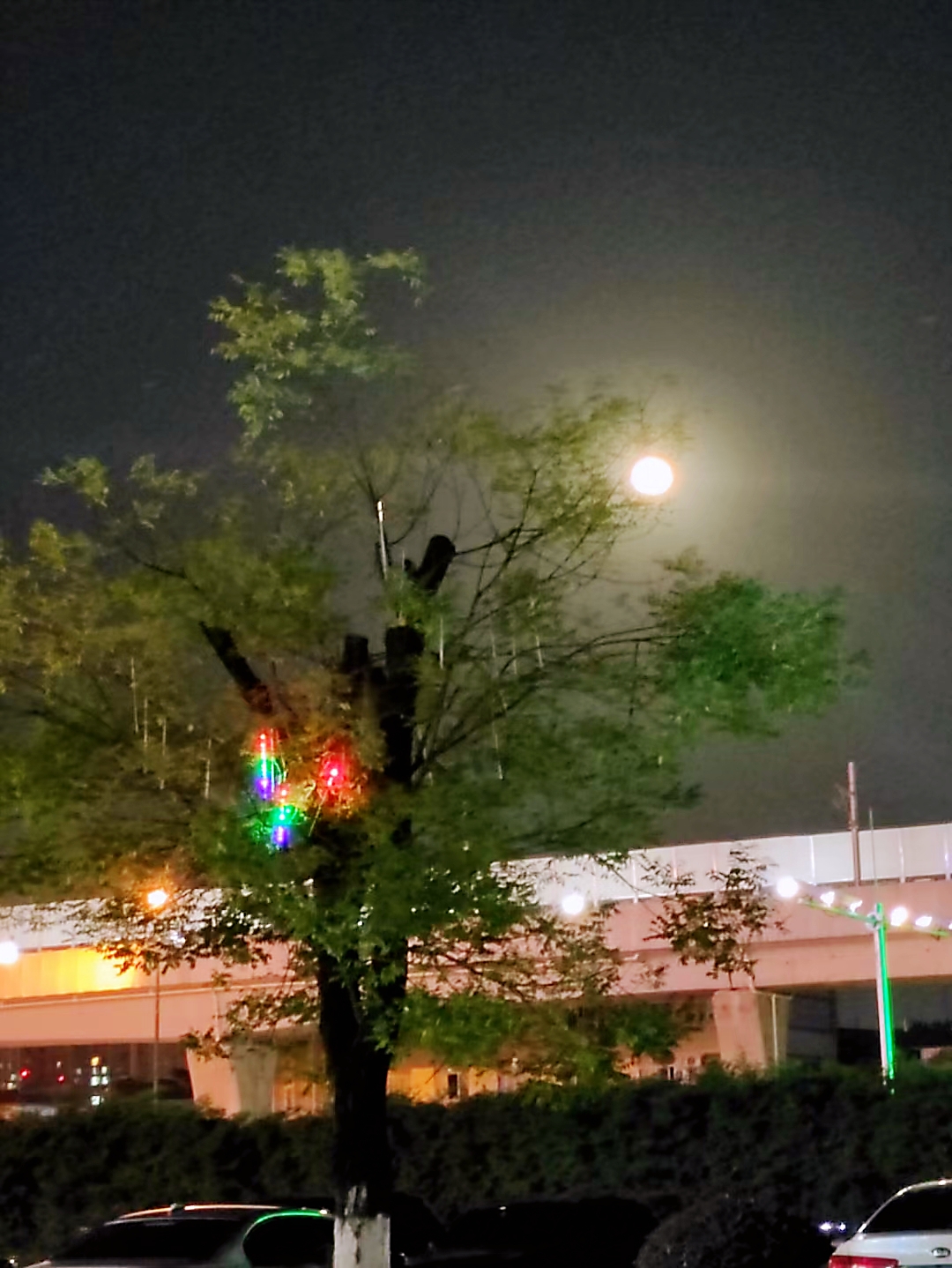 月亮名字的由来和寓意_月亮名字的别称是什么_月亮还有什么名字