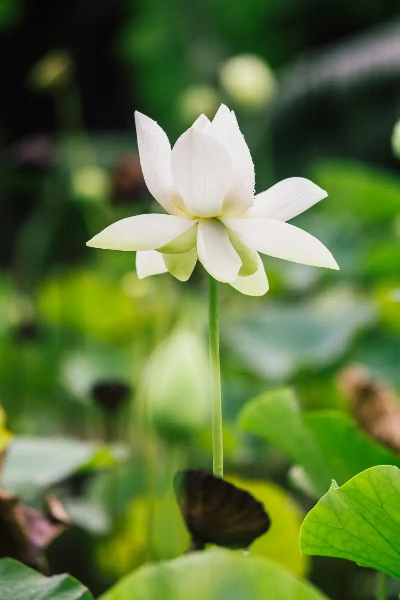 天国的定律是什么_天国的定义_天国定义一讲解陈希曾