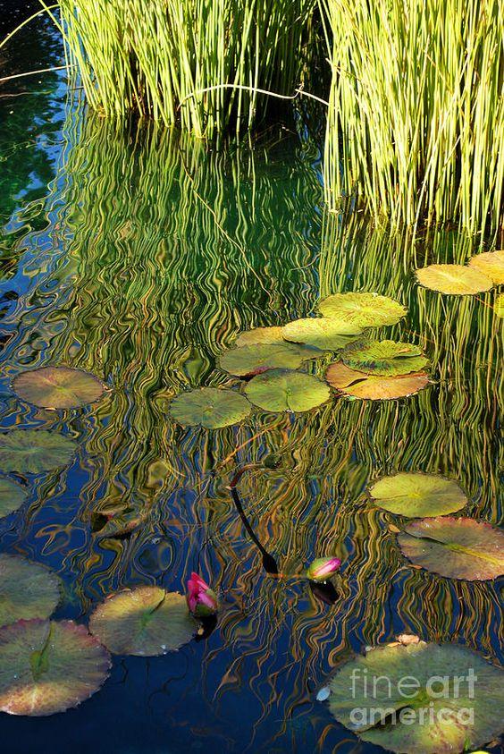 天国的定律是什么_天国定义一讲解陈希曾_天国的定义