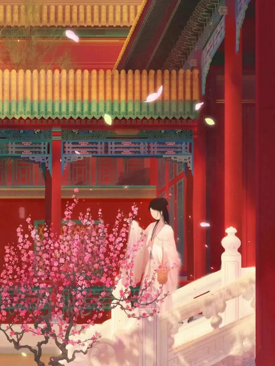 孔雀图片白描_白孔雀的图片_孔雀图片白背景