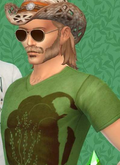 模拟人生4男人物mod-模拟人生 4男人物 mod：让游戏世界更加多彩真实，体验不同人生旅程