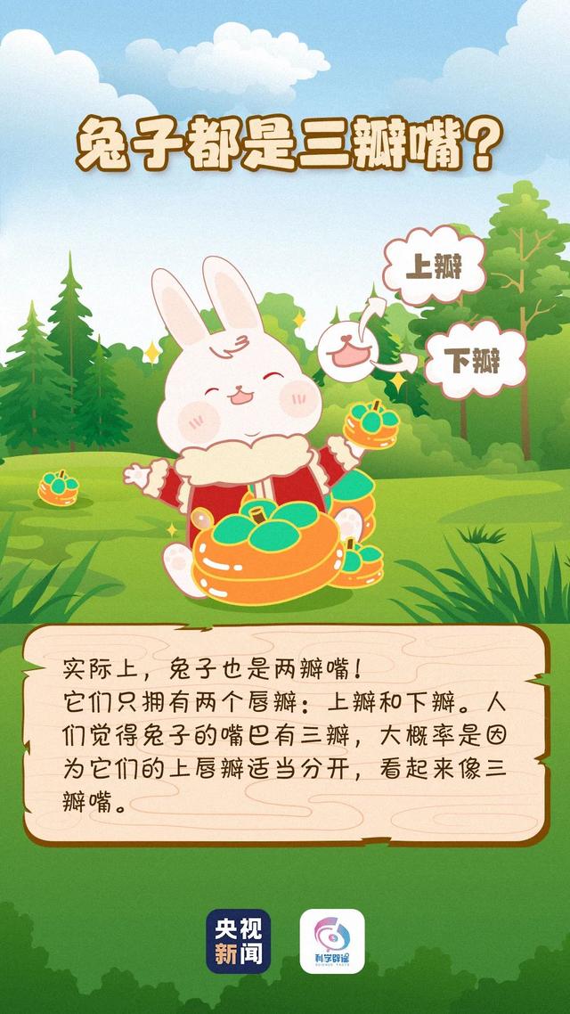 兔子耳朵凉要用什么药_兔耳朵凉是生病吗_天气冷兔子耳朵凉