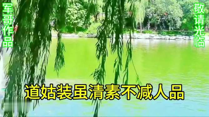 道姑马尾扎法步骤图解_扎马尾的方法视频_最简单扎马尾教程