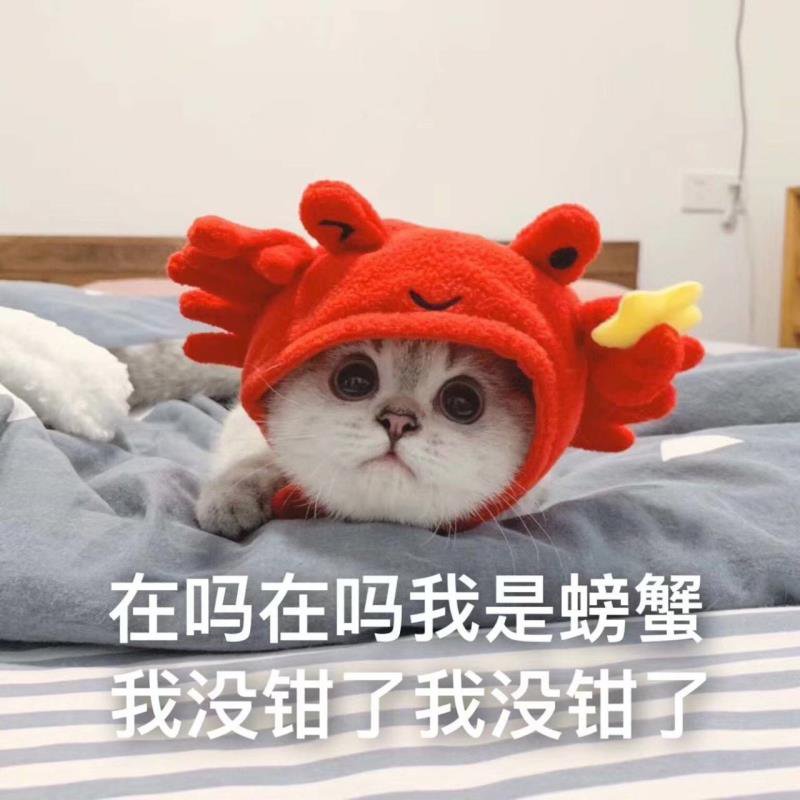 dnf好感度最高-DNF 地下城与勇士：我与它的情深似海，难舍难分的游戏之旅