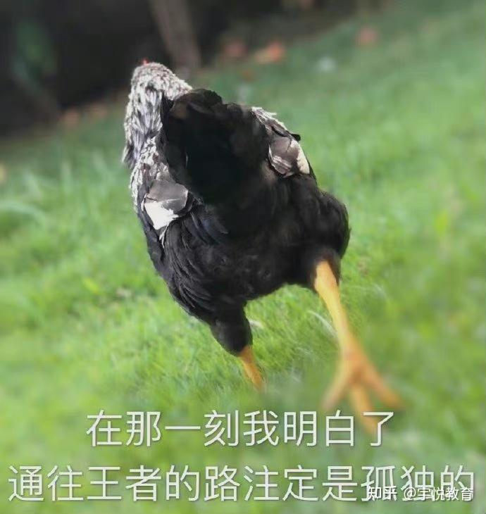 提问的拼音_如何提问pdf_提问的英文