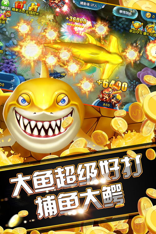 小猫钓鱼游戏 