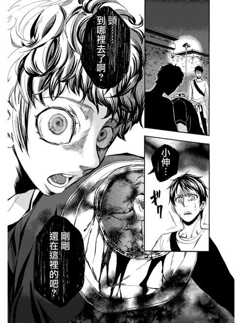 种子猫 