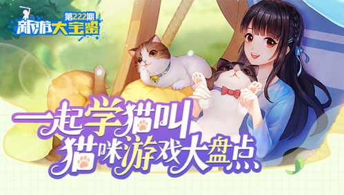 求学猫高考 