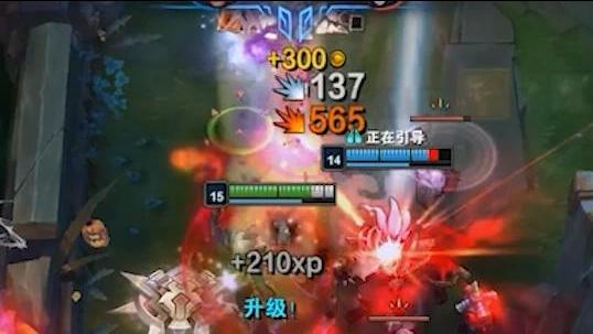 CIBN聚精彩 