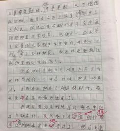 写游戏的作文100字,编程之旅