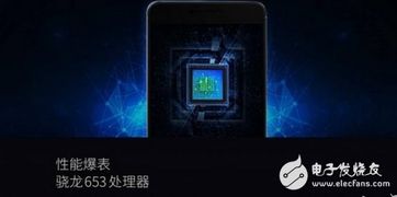 怎么样才能不当社畜:妻子的故事 