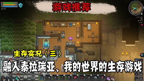 小精灵生存游戏 