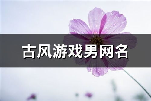 网名生成器 