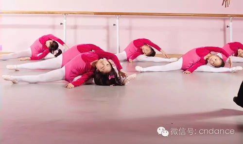 舞蹈校园故事圆梦舞蹈游戏完整版
