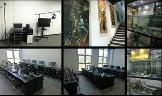 围棋实训软件官方版版最新版2024安装