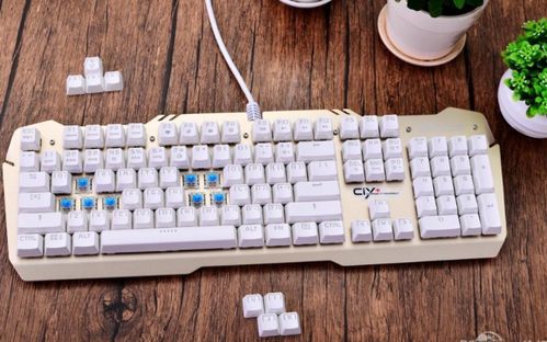 果盘游戏最新版