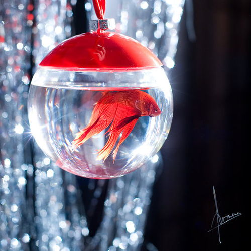 才不是童话游戏