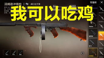 吃鸡游戏画质助手120帧